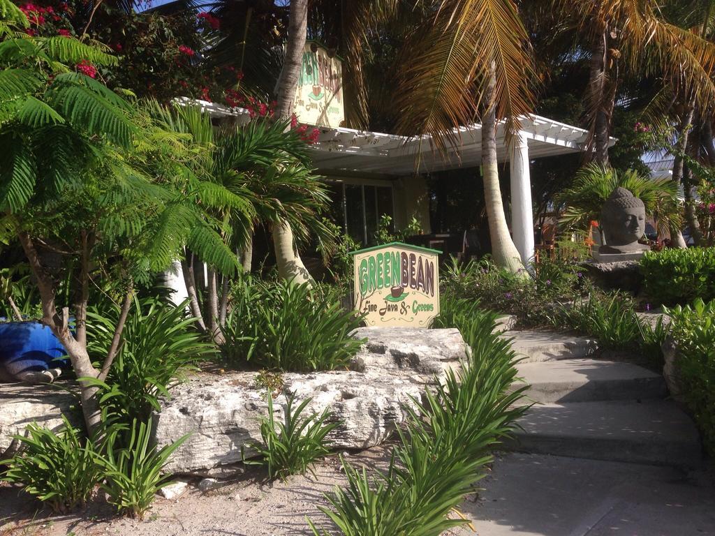 Hotel La Vista Azul Turtle Cove Exterior photo