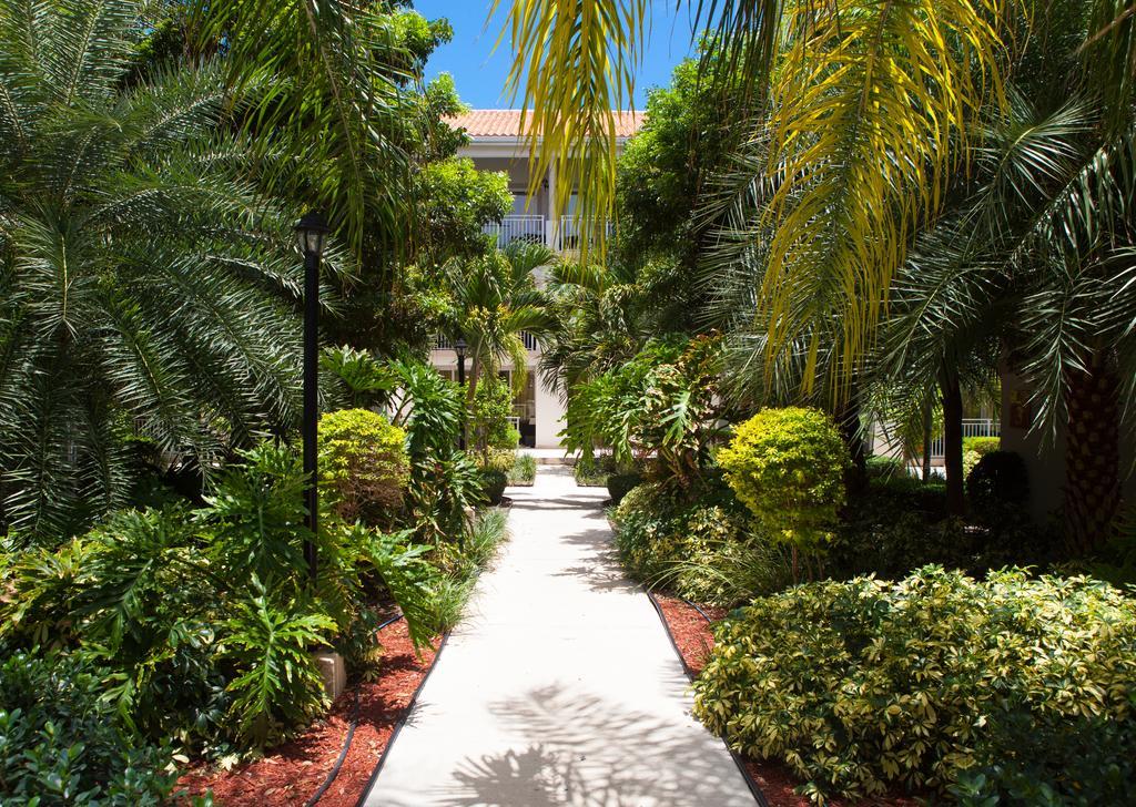 Hotel La Vista Azul Turtle Cove Exterior photo